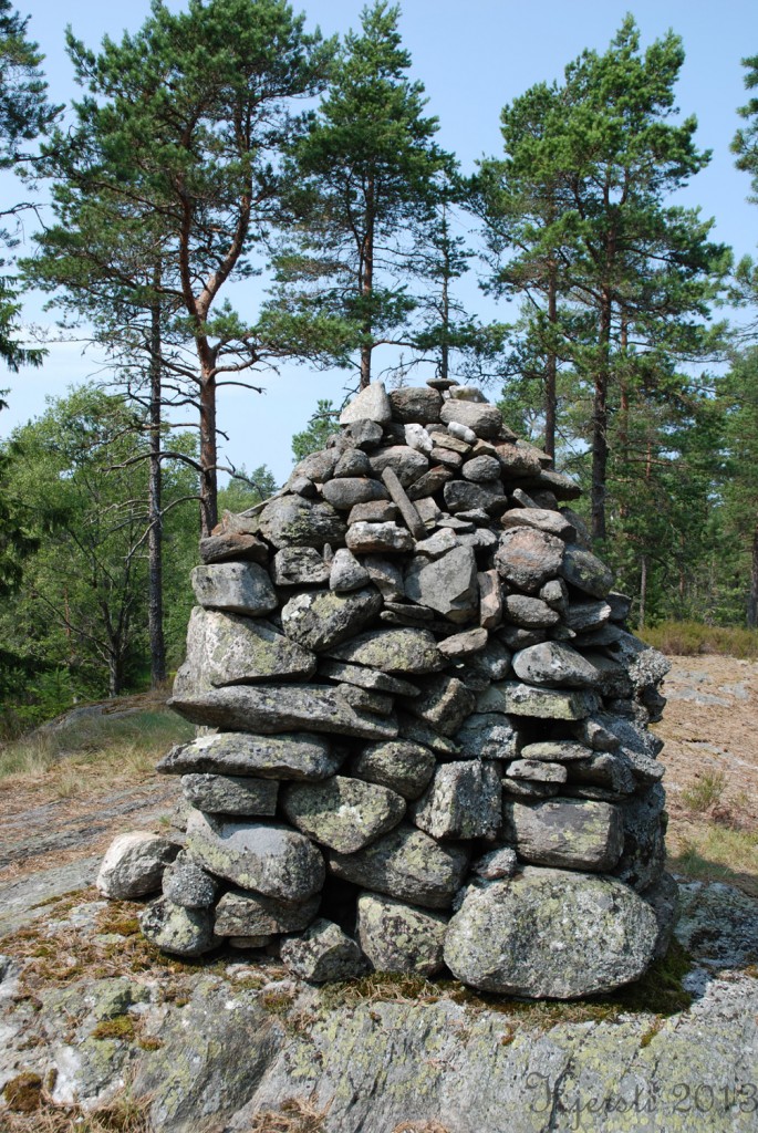 7 140713 130713 Telttur i Tresticklans Nationalpark - Orshöjden